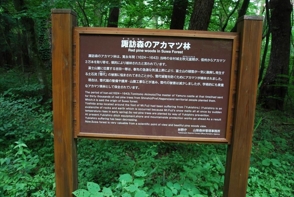 DSC_0989.JPG