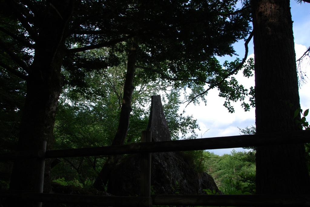 DSC_1041.JPG