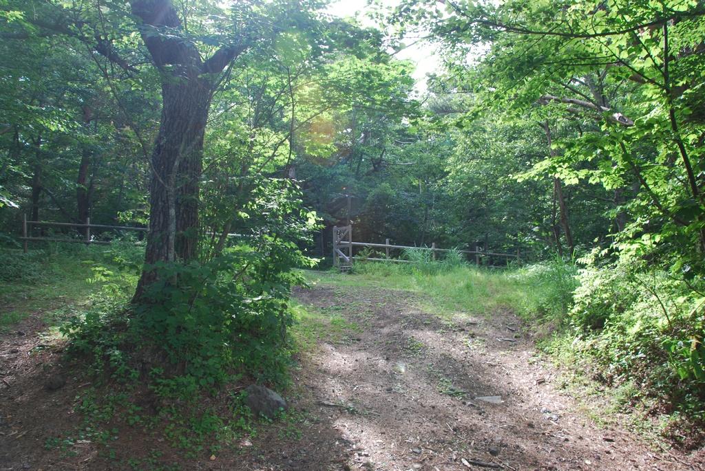 DSC_1042.JPG