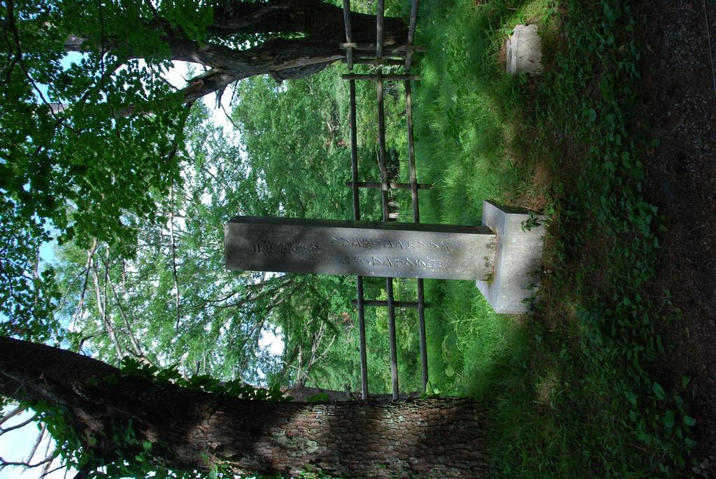 DSC_1044.JPG