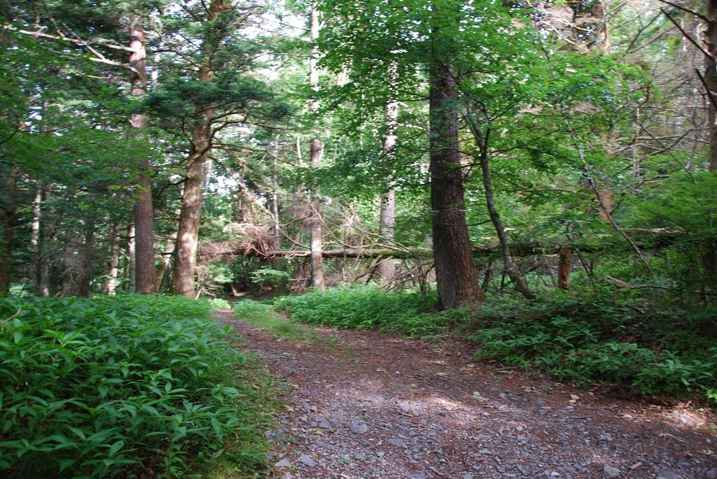 DSC_1050.JPG
