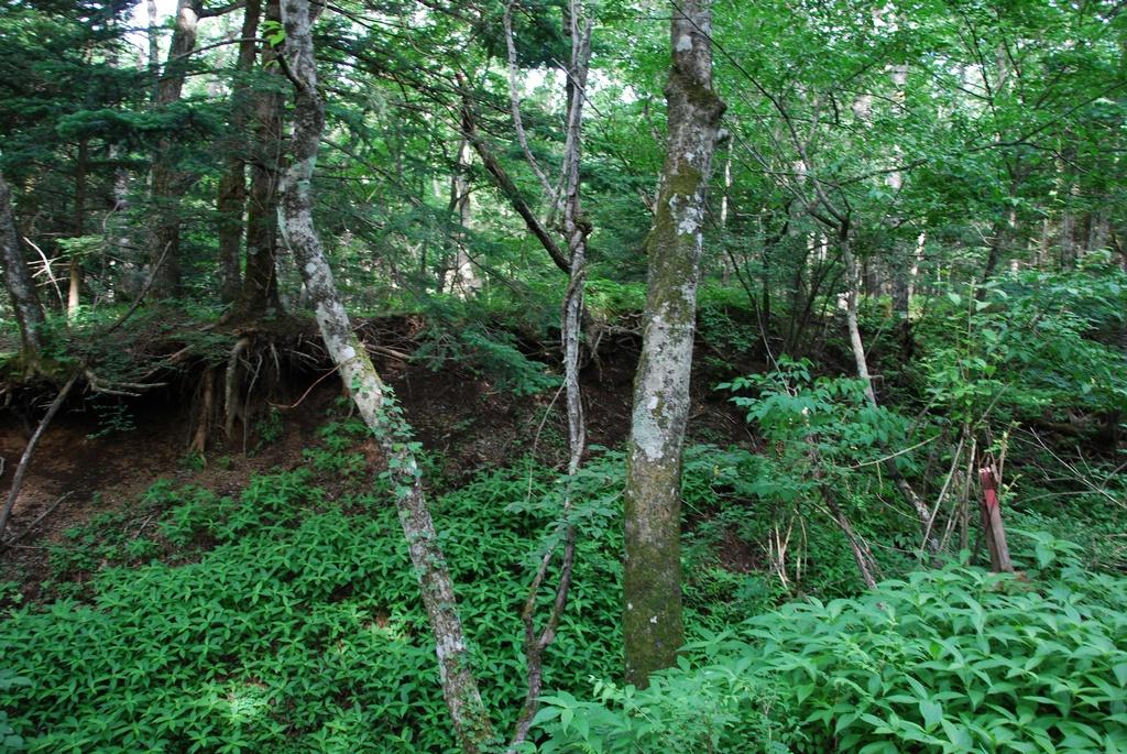 DSC_1052.JPG