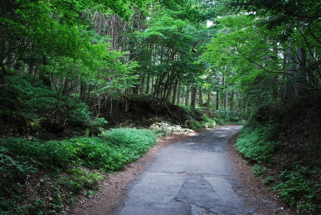 DSC_1053.JPG
