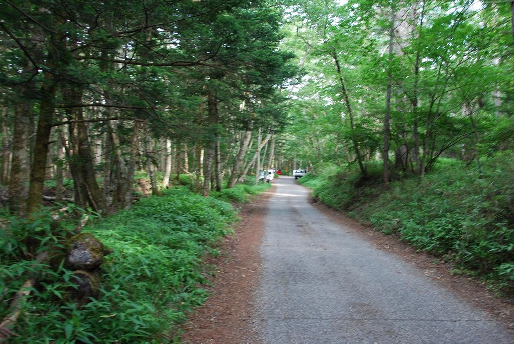 DSC_1054.JPG