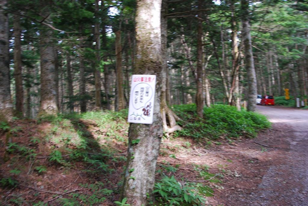 DSC_1055.JPG