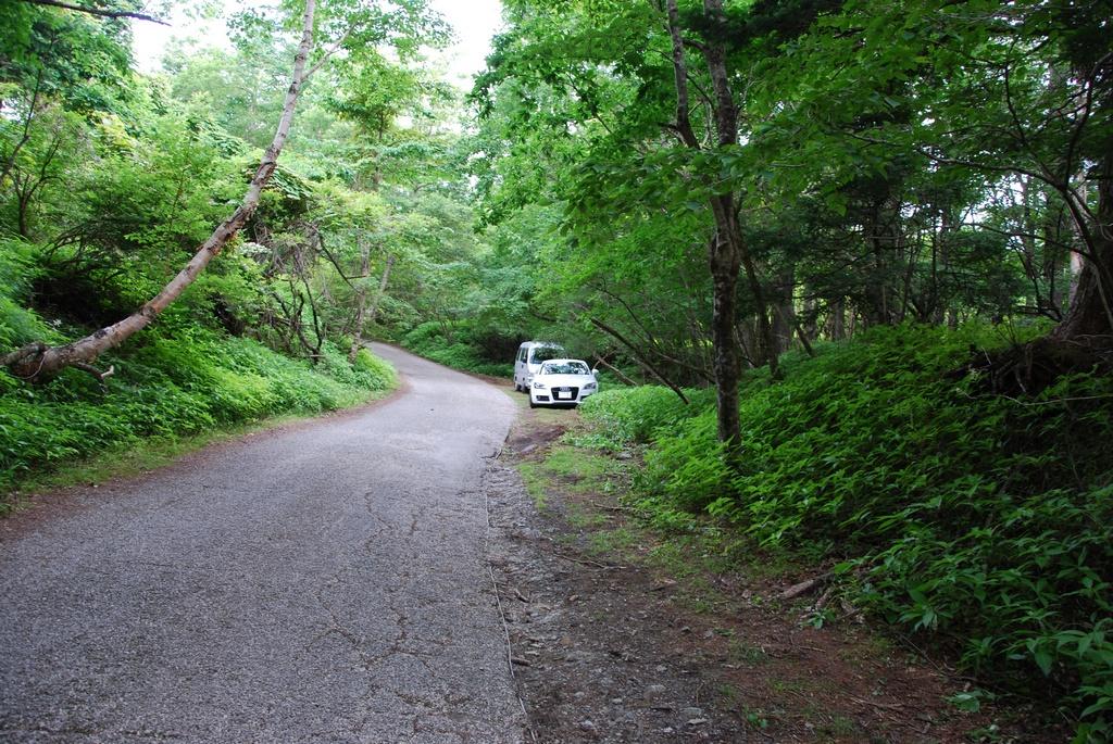 DSC_1057.JPG