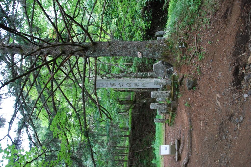 DSC_1065.JPG