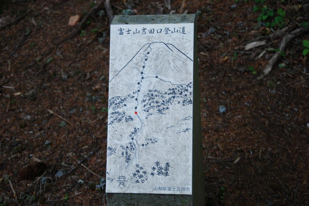 DSC_1066.JPG
