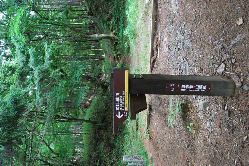 DSC_1067.JPG