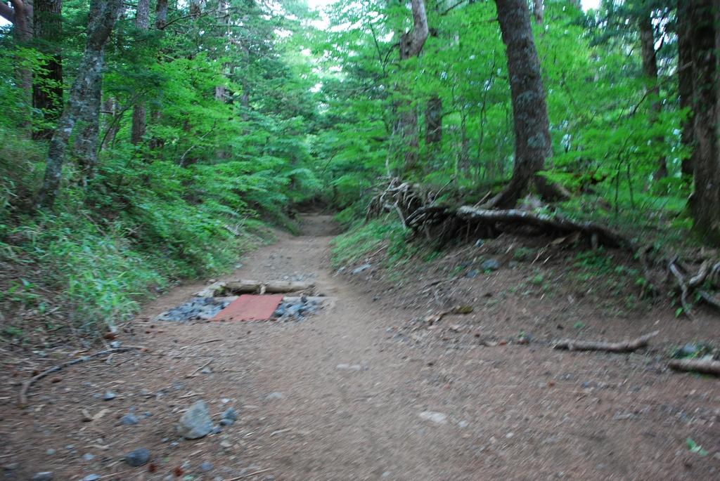 DSC_1079.JPG