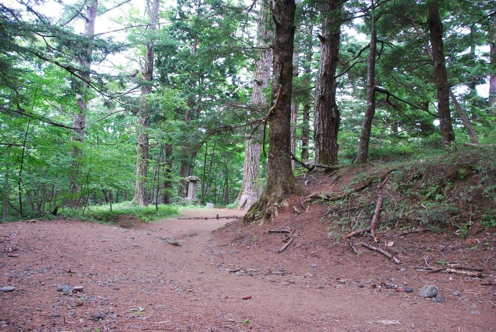 DSC_1081.JPG