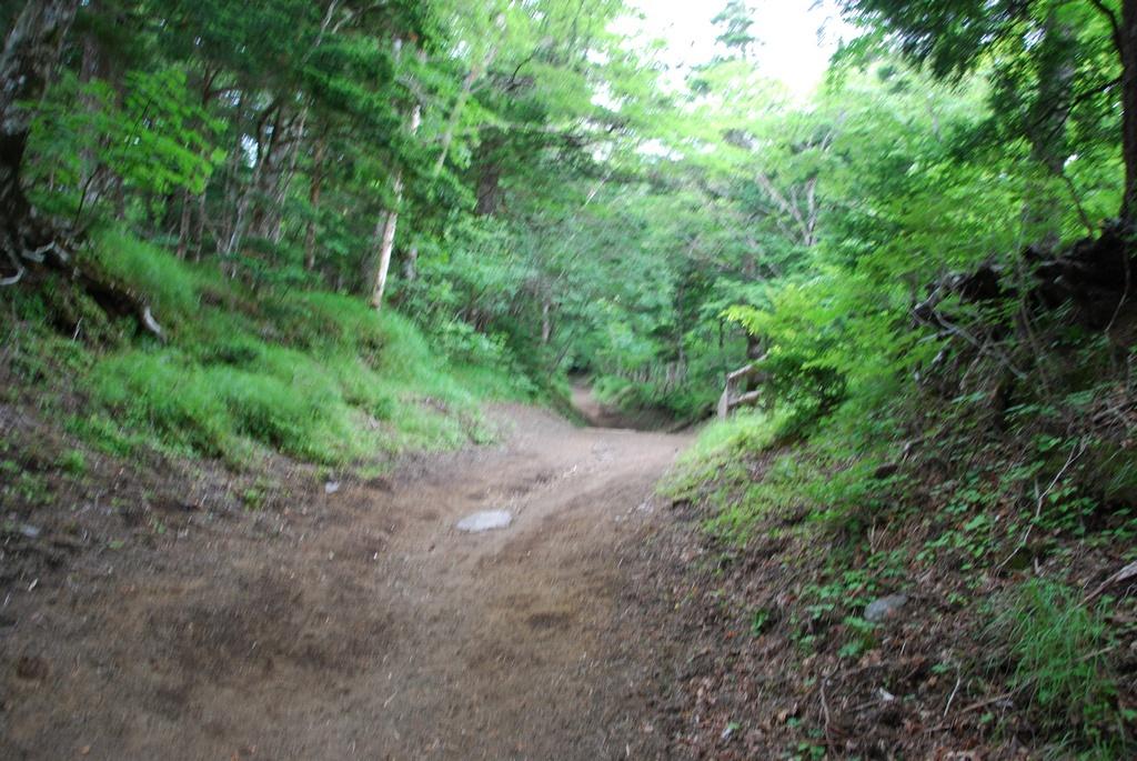 DSC_1091.JPG