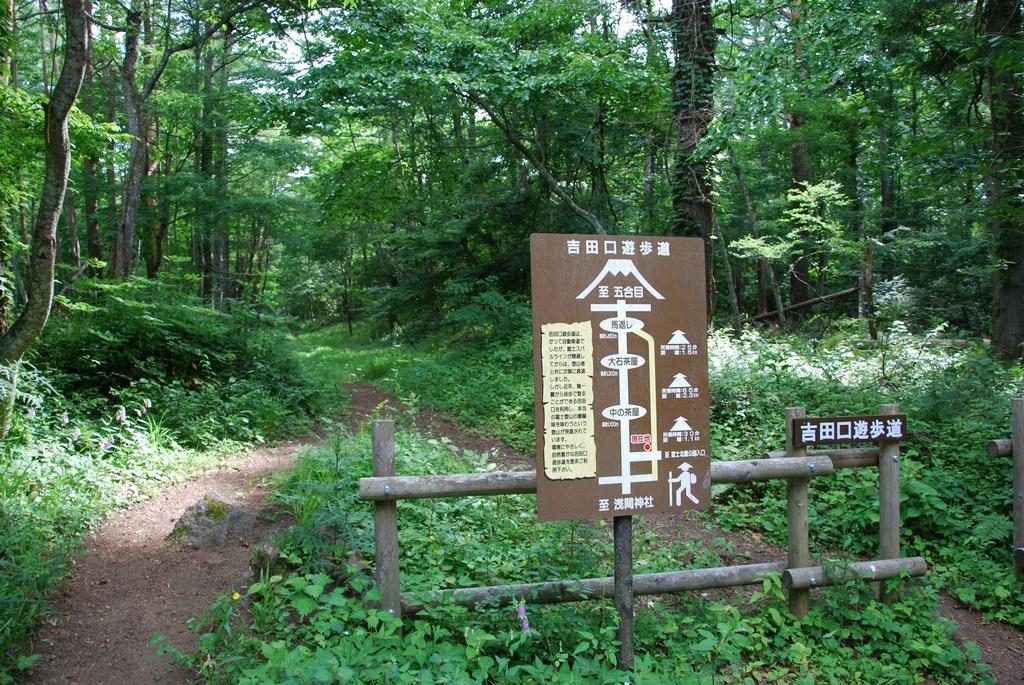 DSC_1001.JPG