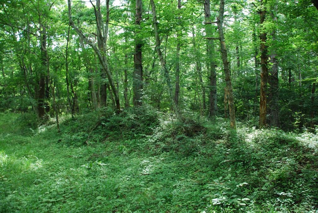 DSC_1002.JPG