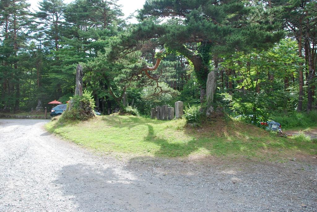 DSC_1015.JPG