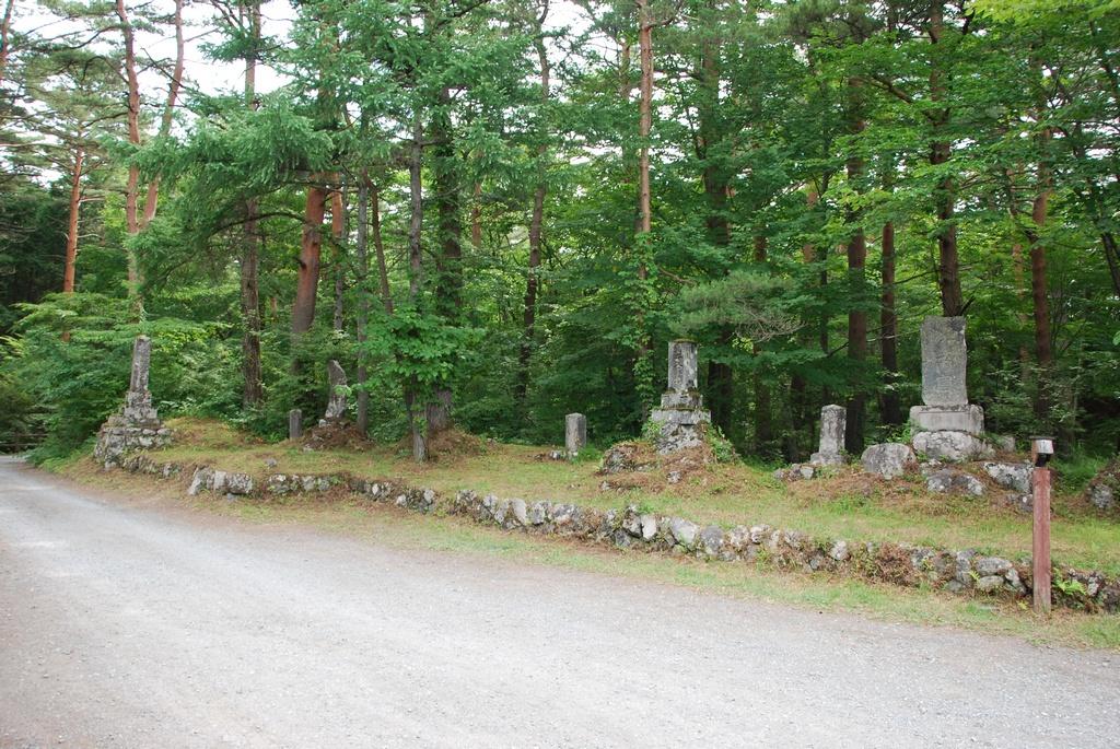DSC_1017.JPG