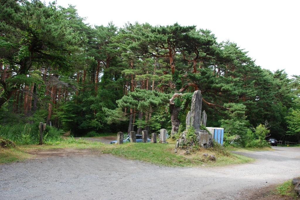 DSC_1018.JPG