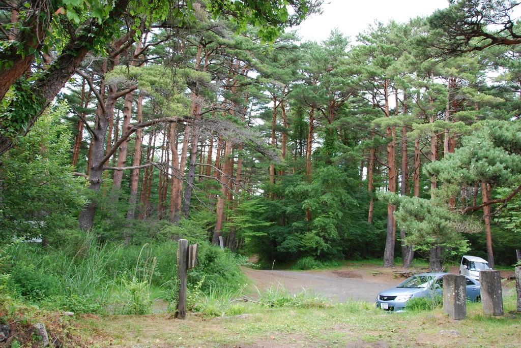 DSC_1019.JPG