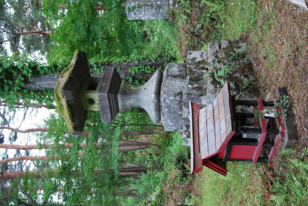 DSC_1020.JPG