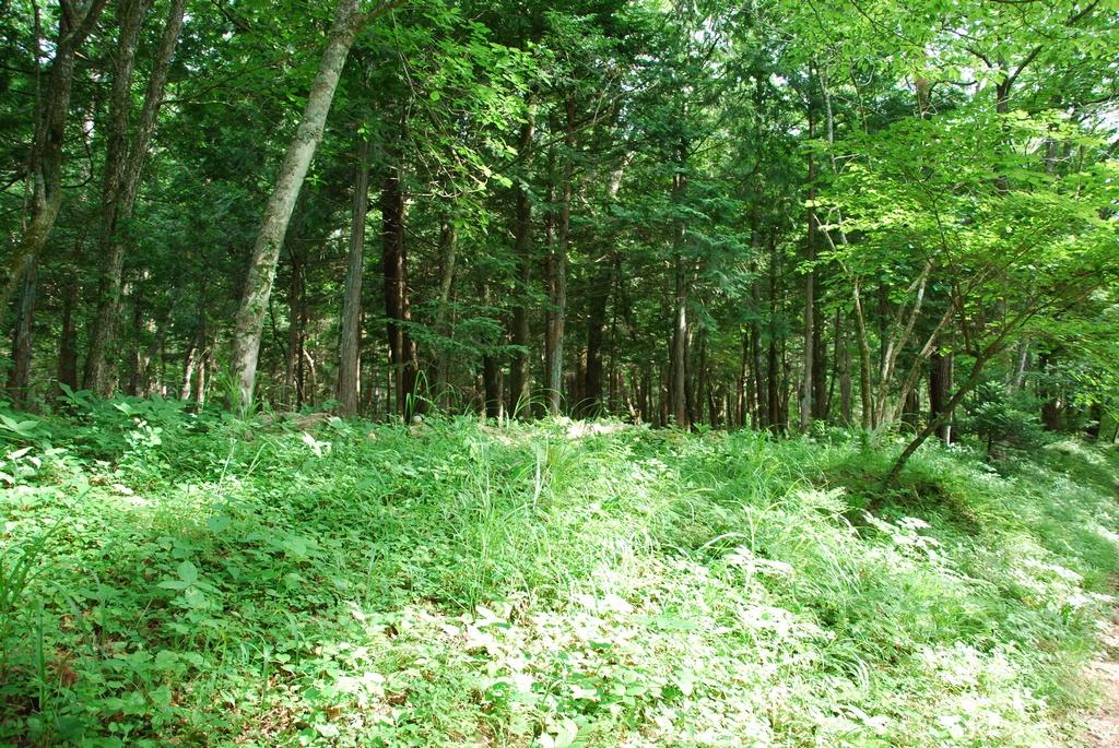 DSC_1027.JPG