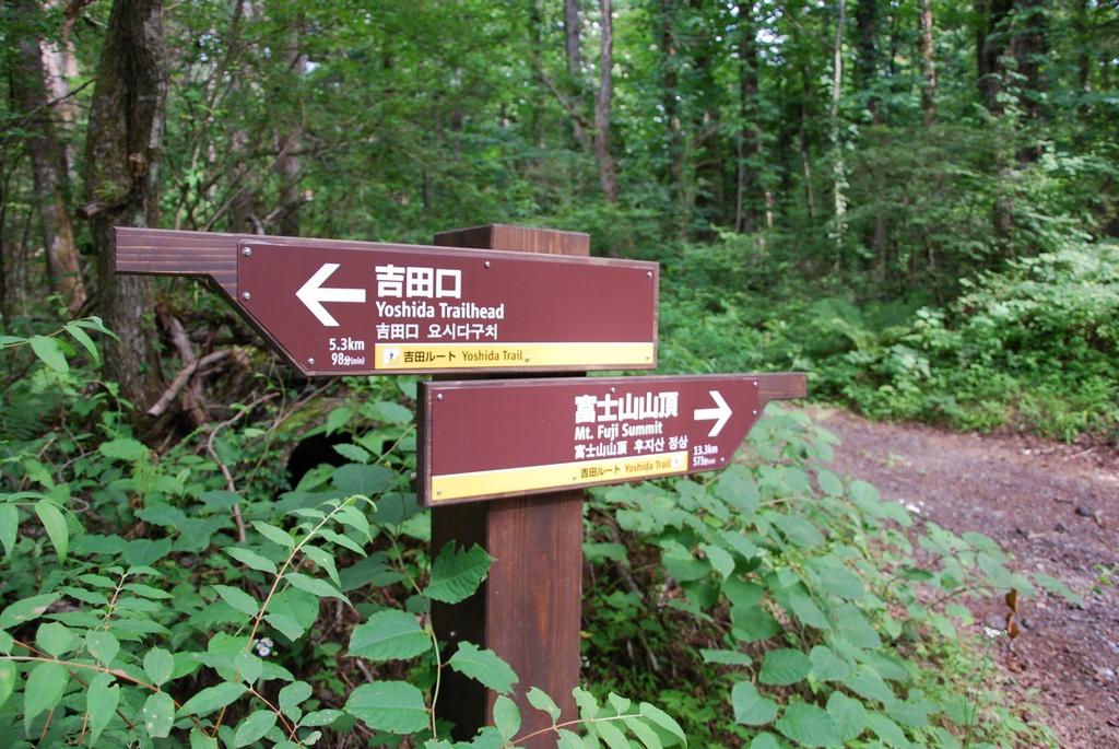 DSC_1028.JPG