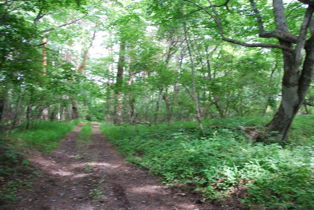 DSC_1029.JPG