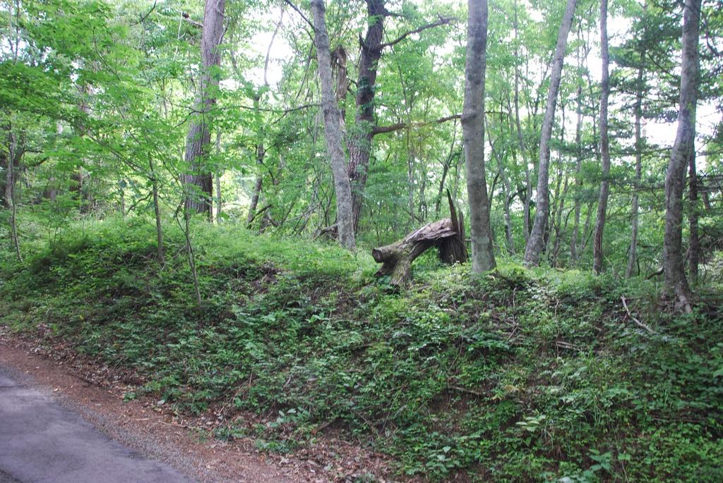 DSC_1030.JPG