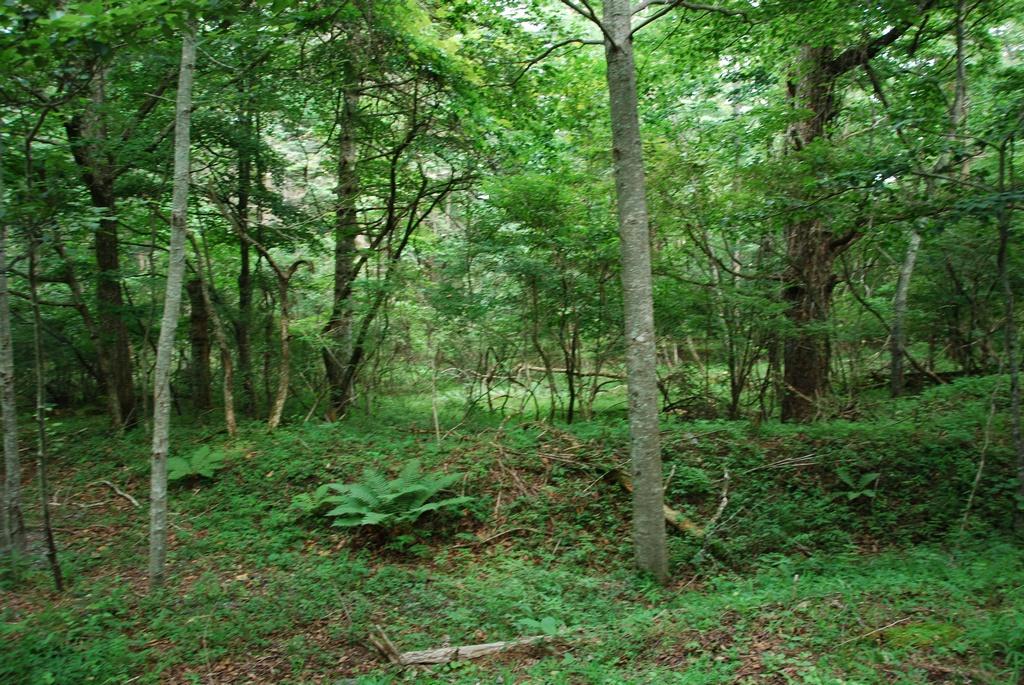 DSC_1033.JPG