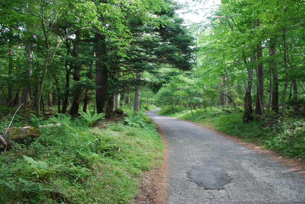 DSC_1034.JPG