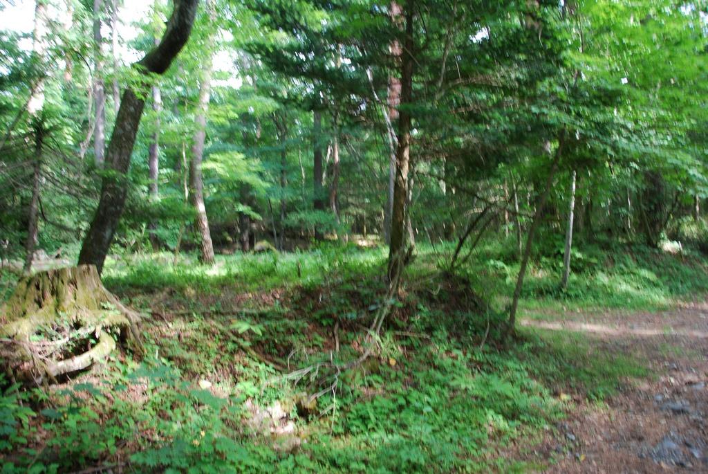 DSC_1036.JPG