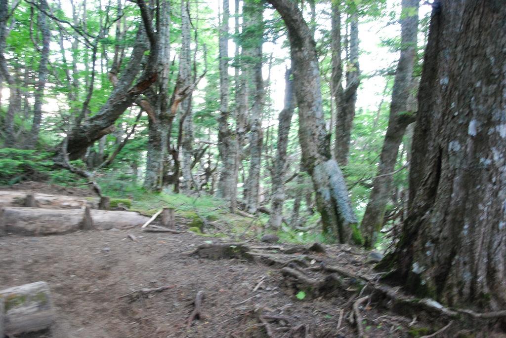 DSC_1142.JPG