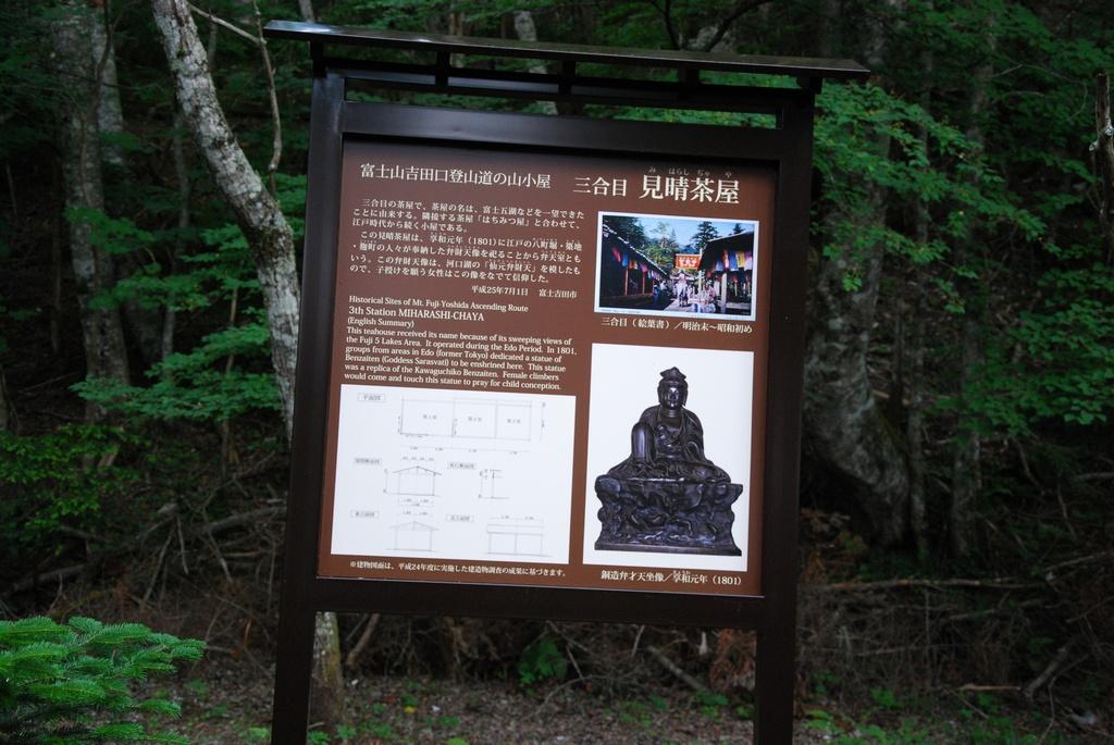 DSC_1143.JPG