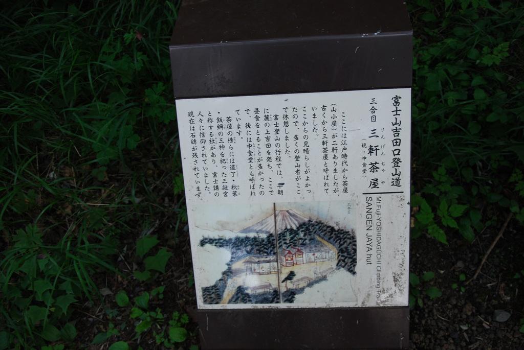 DSC_1145.JPG