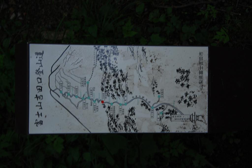 DSC_1146.JPG