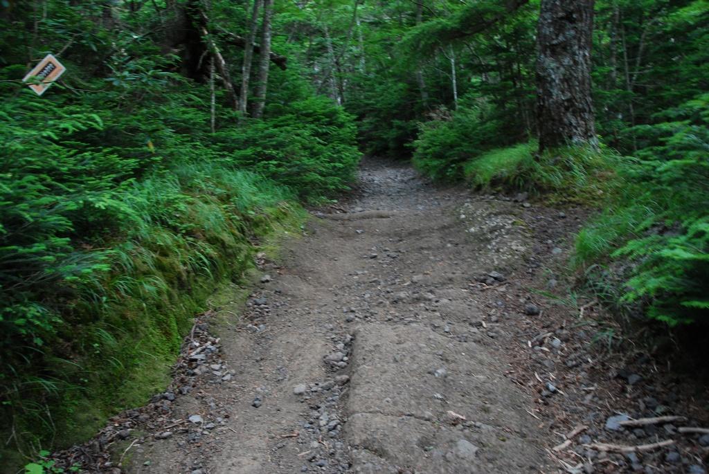 DSC_1155.JPG
