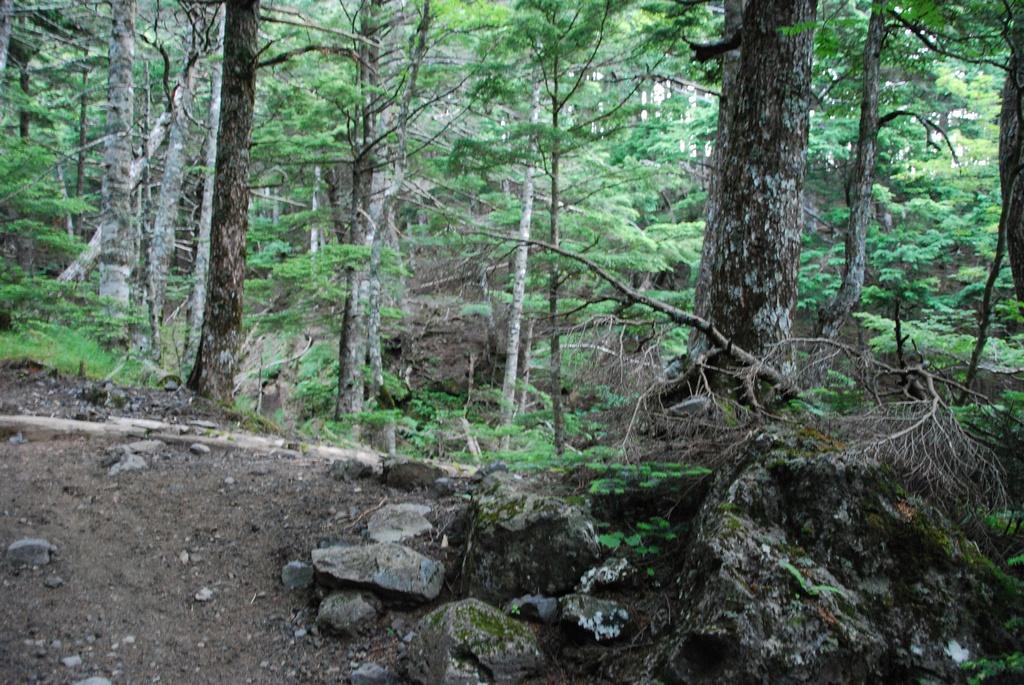 DSC_1156.JPG