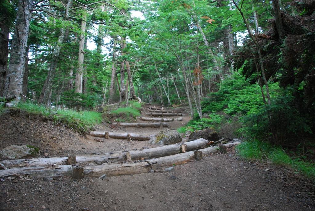 DSC_1159.JPG