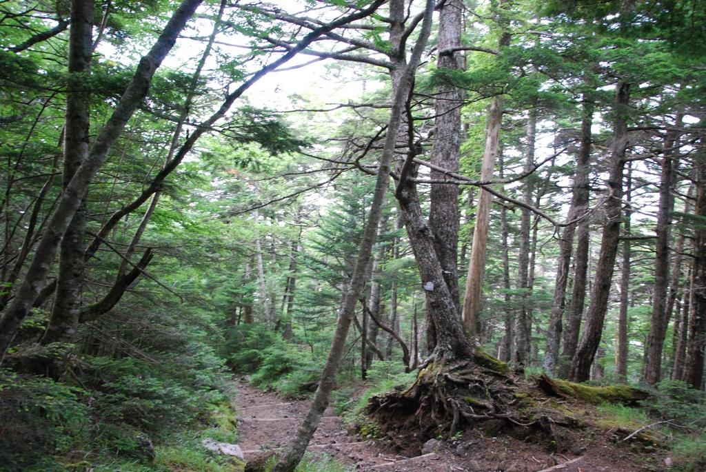 DSC_1162.JPG