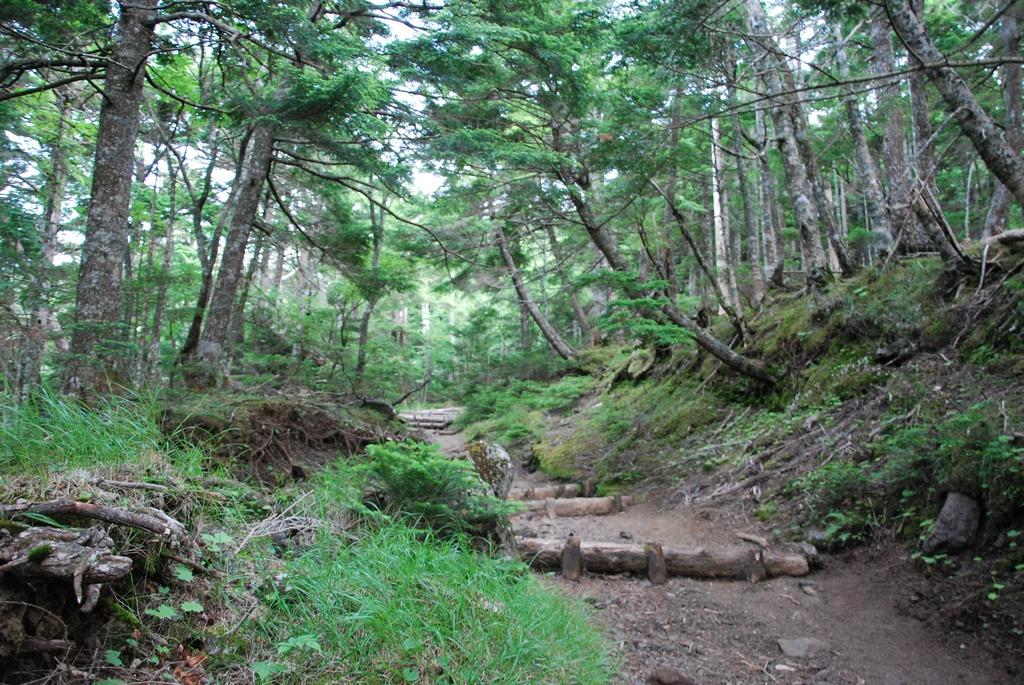 DSC_1169.JPG