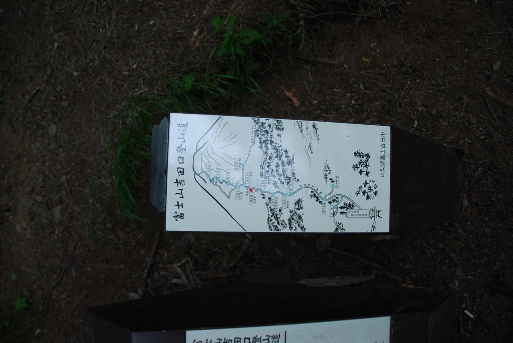 DSC_1178.JPG