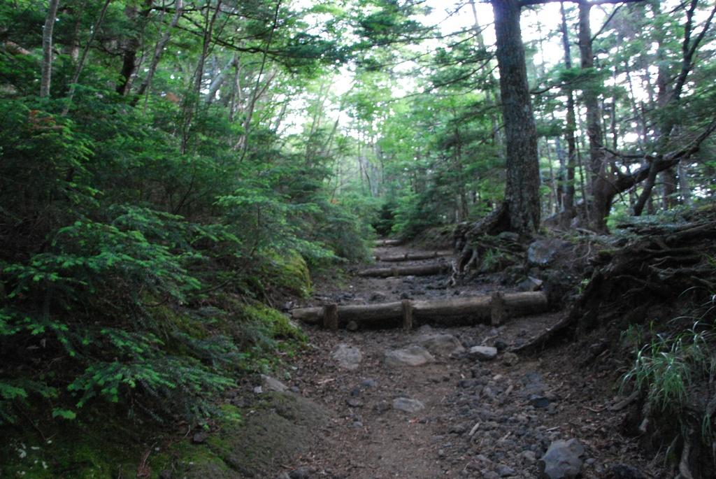 DSC_1183.JPG