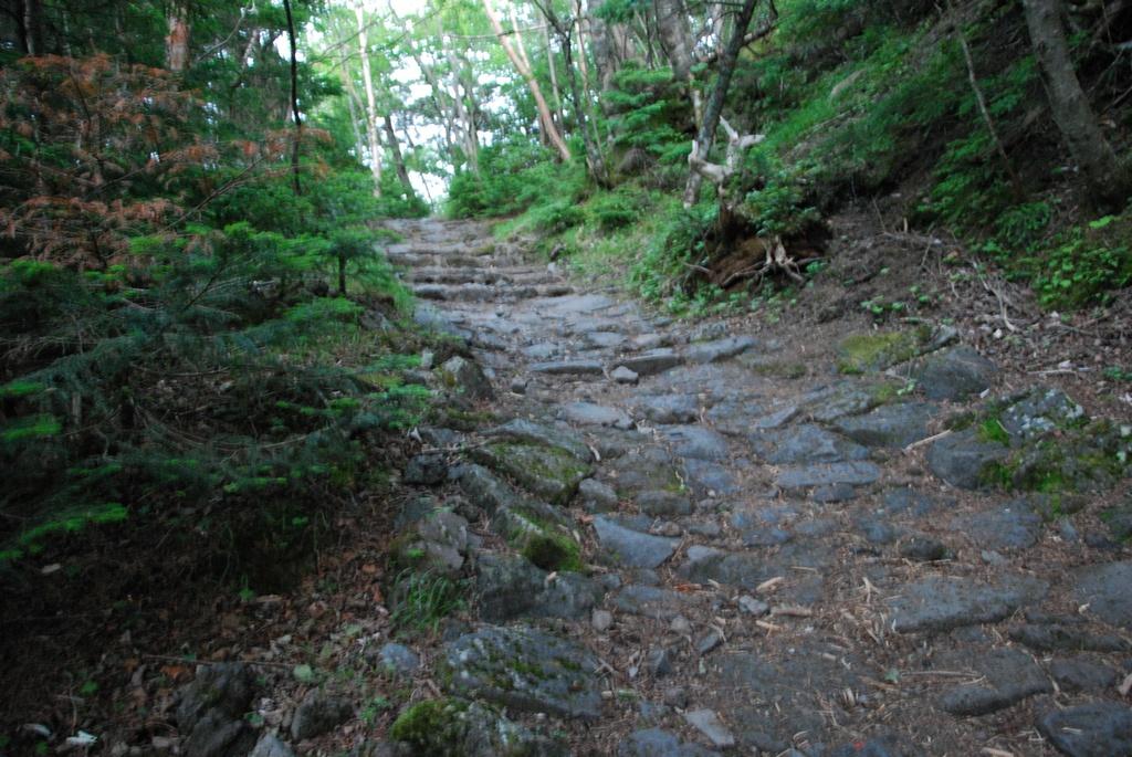 DSC_1185.JPG