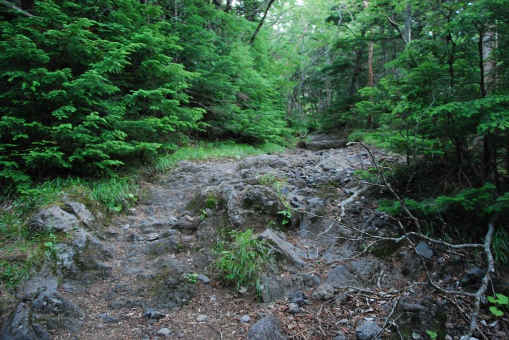 DSC_1186.JPG