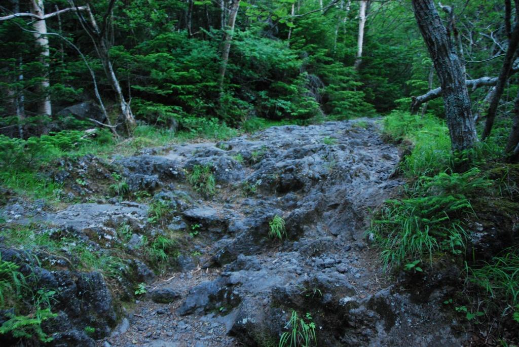 DSC_1189.JPG