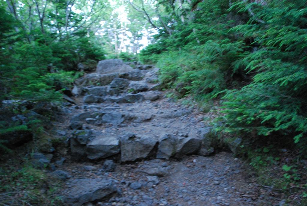 DSC_1190.JPG