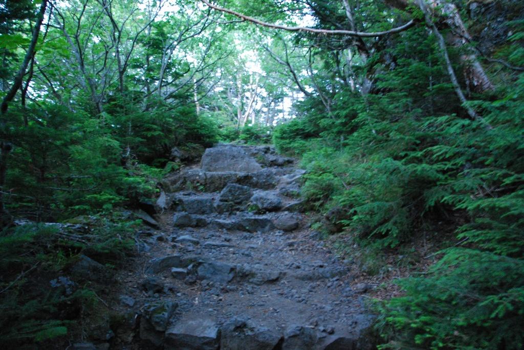DSC_1191.JPG