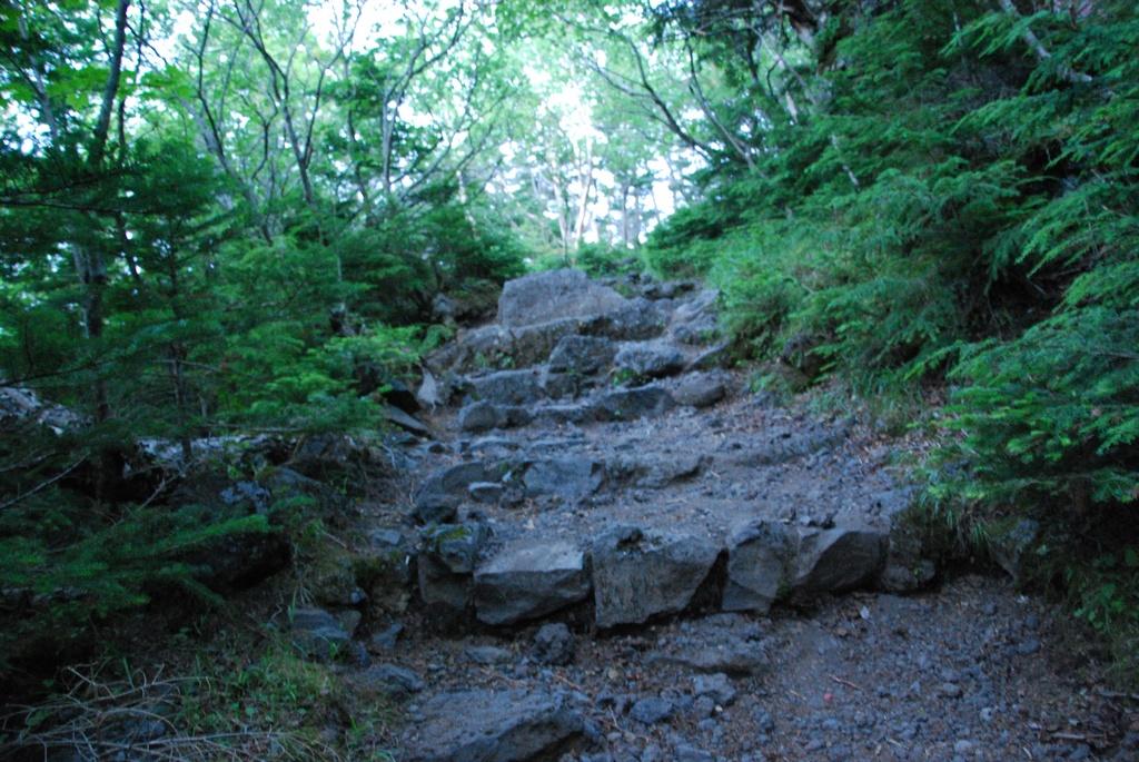 DSC_1192.JPG