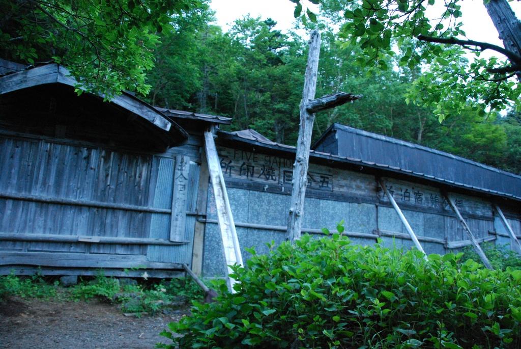 DSC_1194.JPG