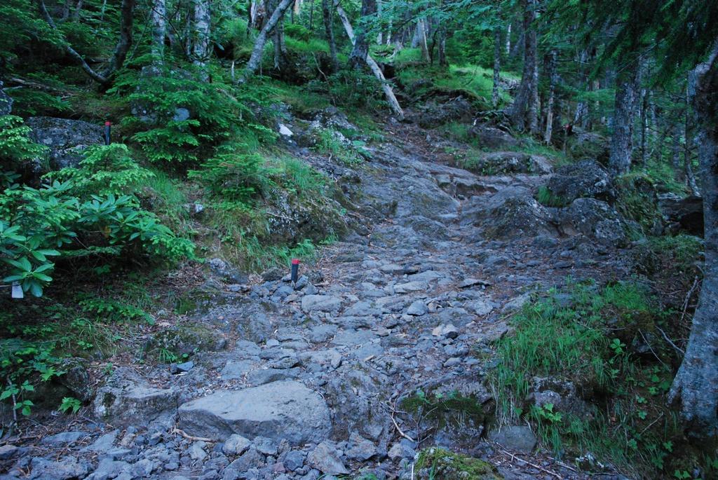 DSC_1197.JPG