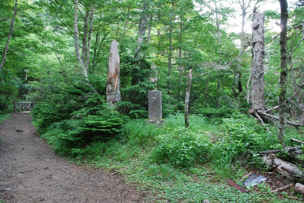 DSC_1110.JPG